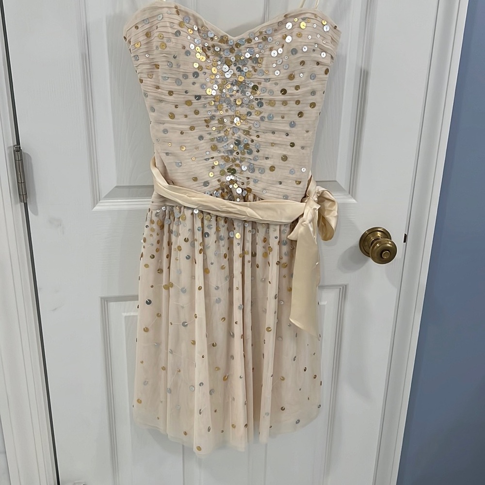 BCBG Vanilla Sequin Drop Waist Dress